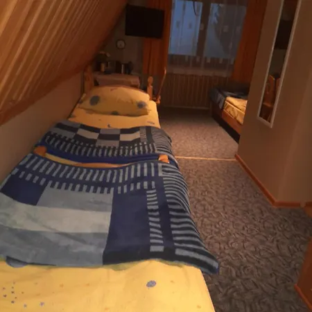 Lila 게스트하우스 부코비나 타트잔스카